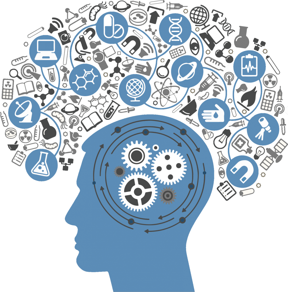 frontbrain1の画像