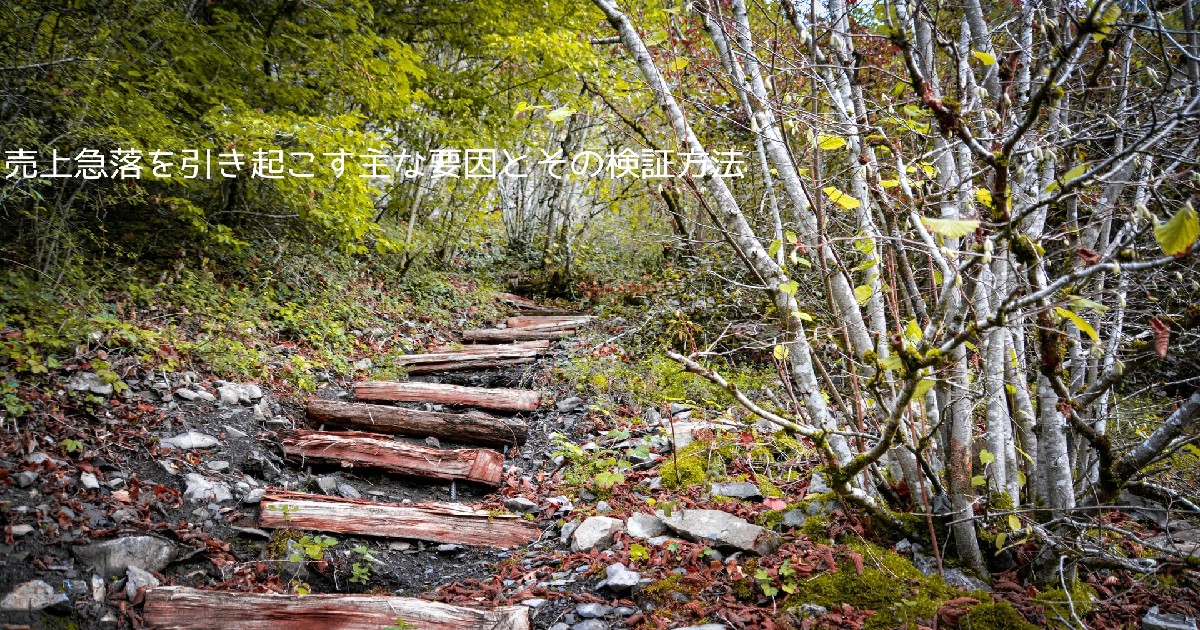 Amazon売上が急落した？原因究明から回復まで完全ガイド【実際の事例付き】