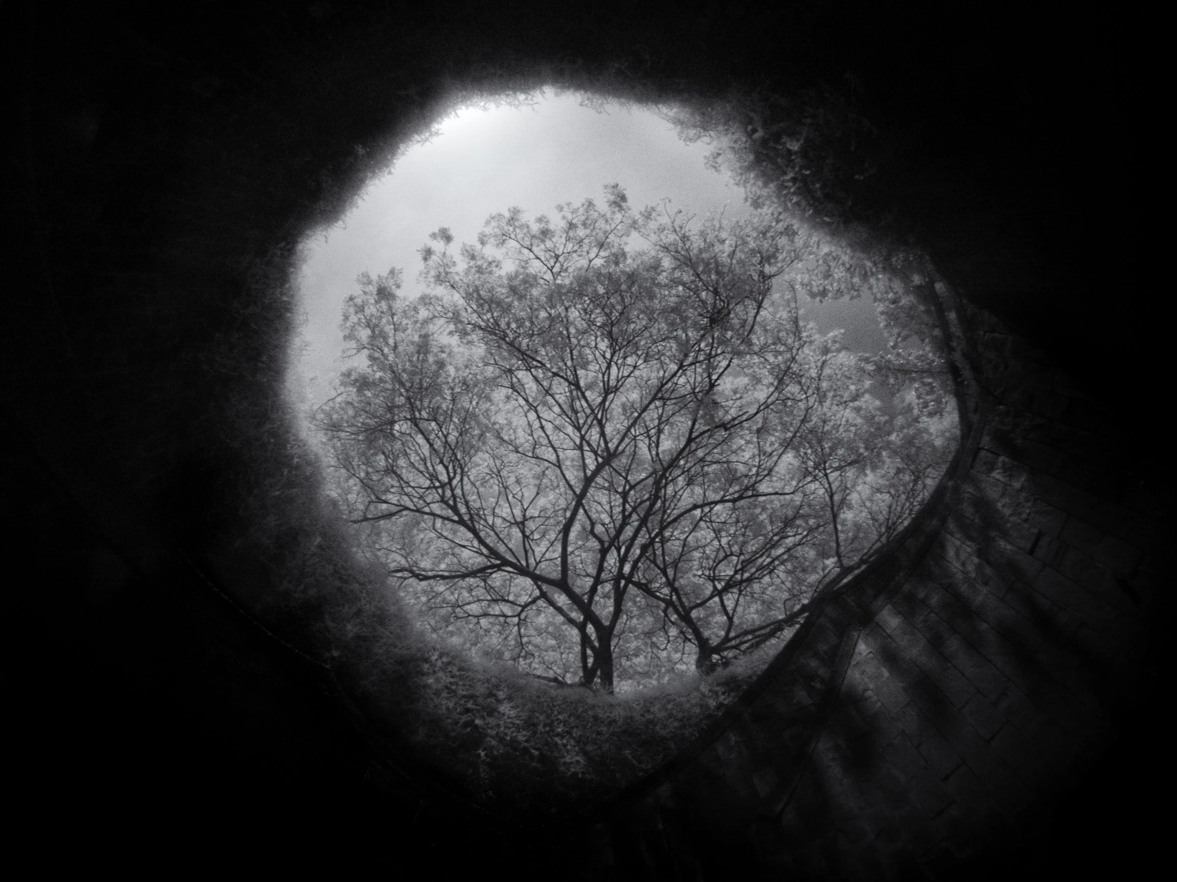 輸入ビジネスの基本概念