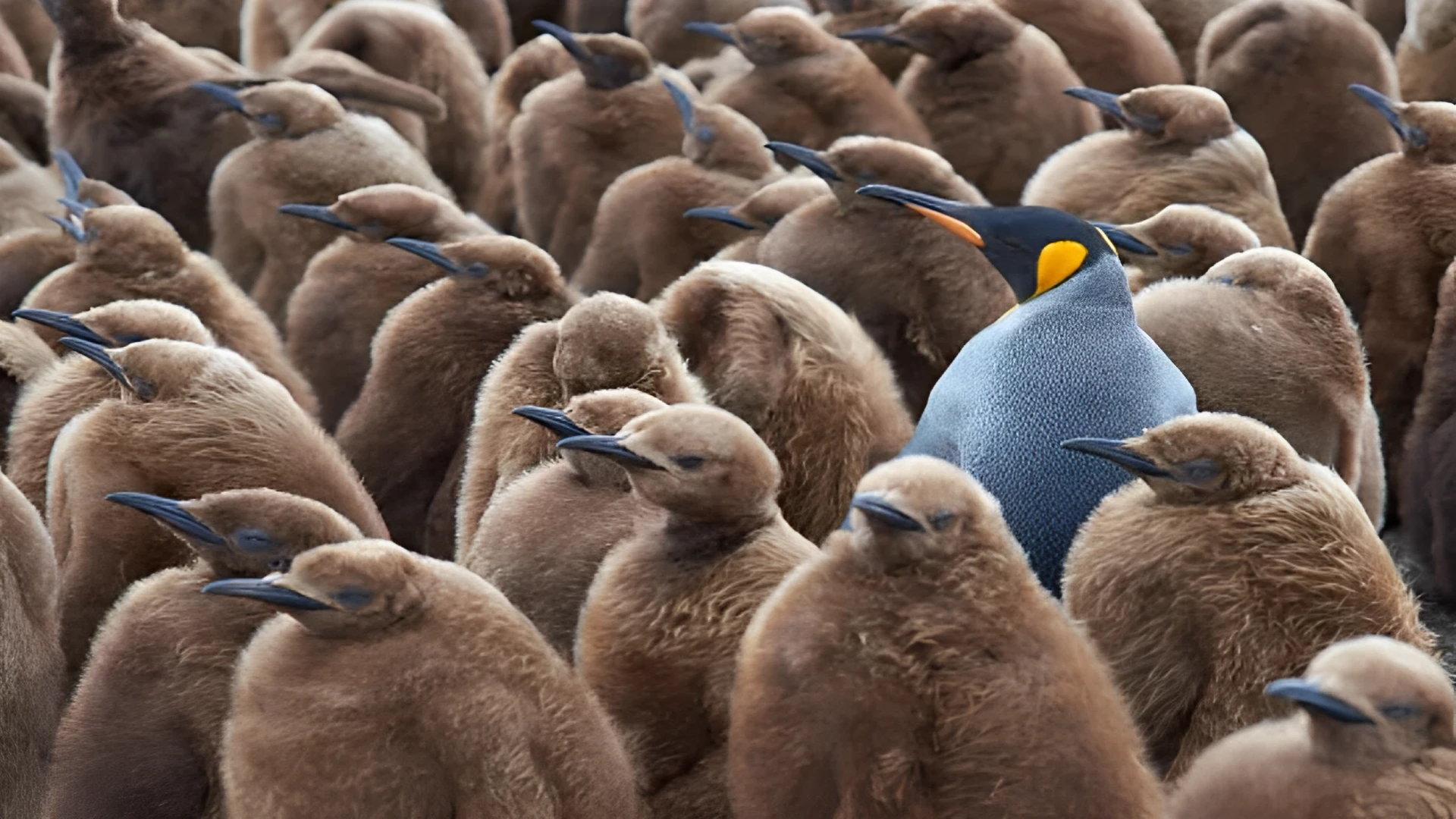 化粧品OEMの差別化とリピート戦略