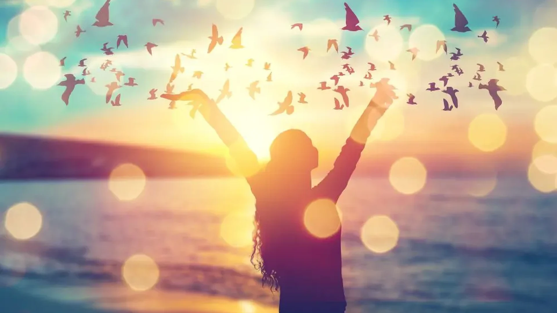 自信を持ってバックエンドを売り込む