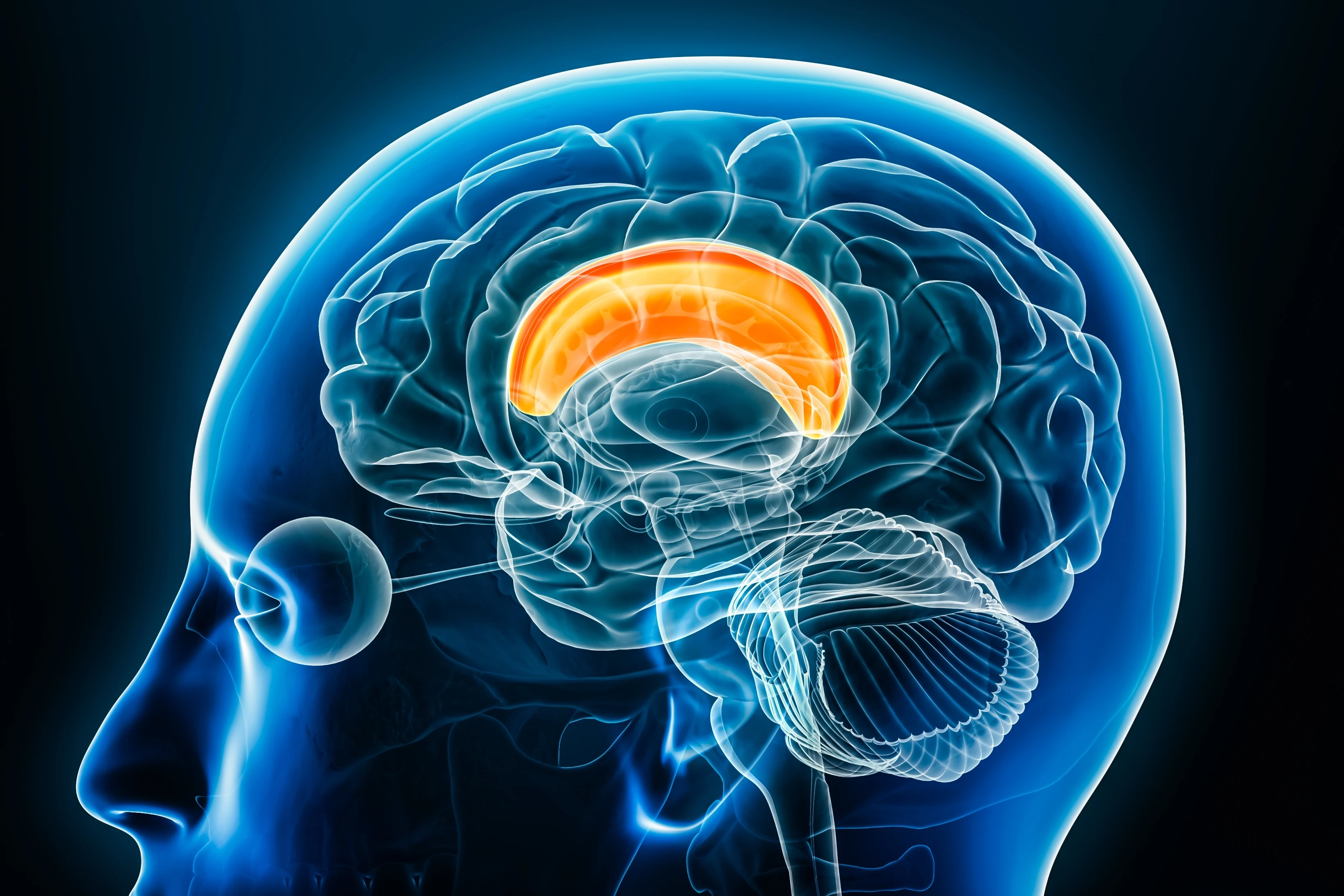 増補改訂版　日本一学生が集まる中小企業の秘密
