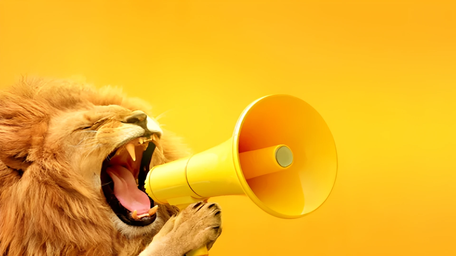 若者よ何を望む