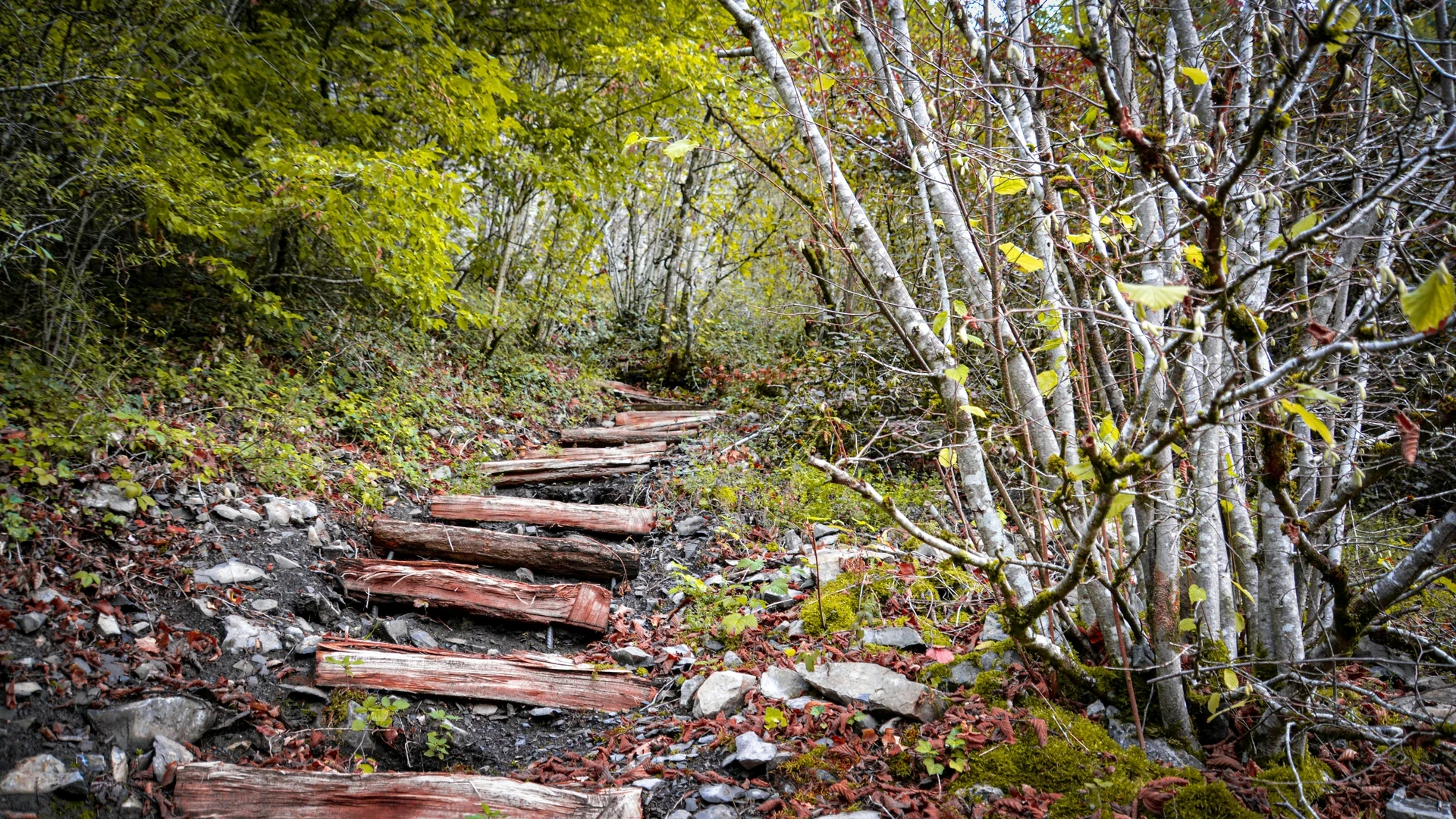 出品者リサーチで失敗する主な原因と回避方法