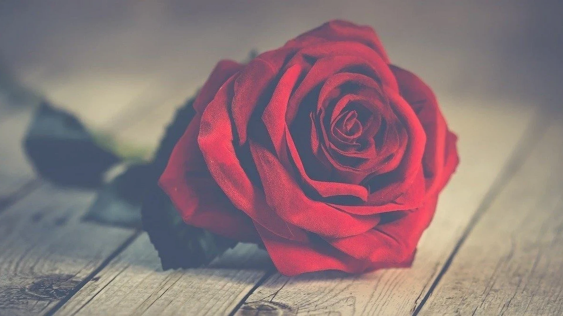 商品カテゴリ別：低評価対策のベストプラクティス