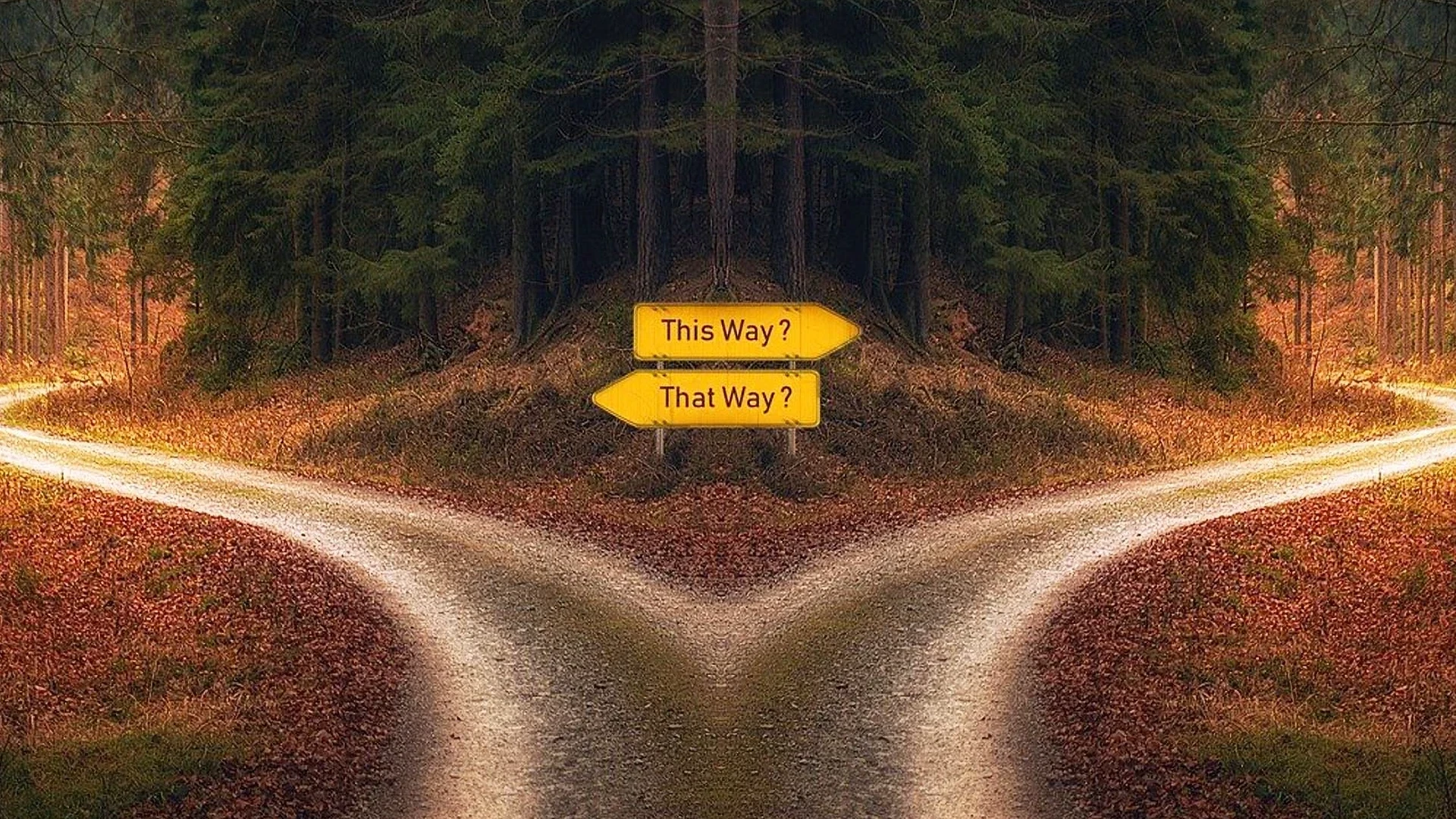 ホリデーシーズンの価格設定と競合分析