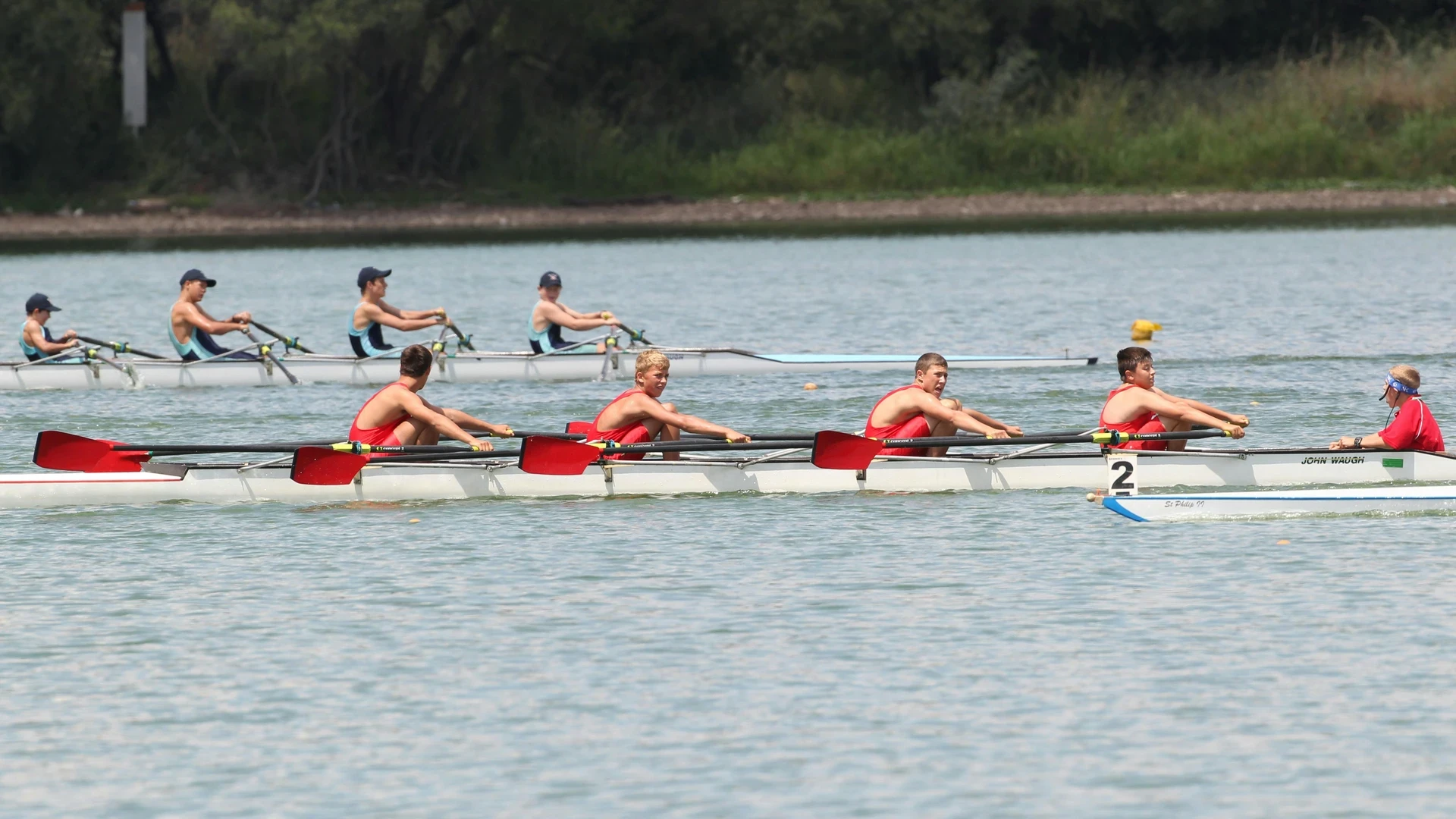 読者が取るべき具体的な行動チェックリスト