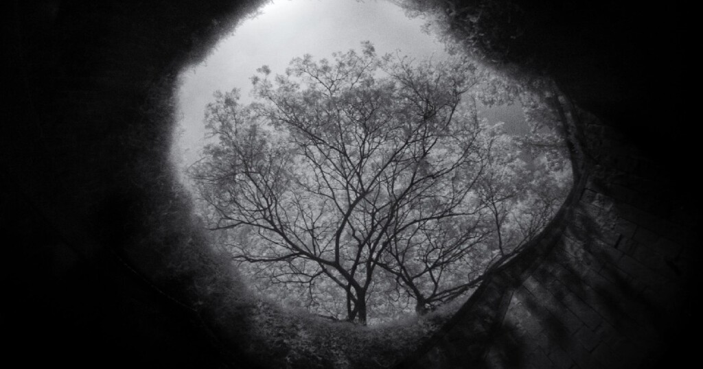 開発環境整備とツール選び